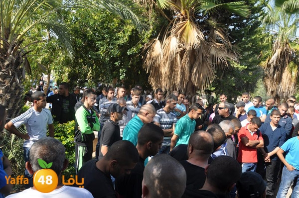 Janza yosef 3obra (18).JPG